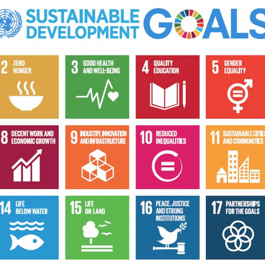 Sustainable Development Goals - Agenda 2030